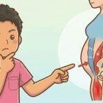 【衝撃】反り腰だと痩せにくい？下半身太りの根本原因とは